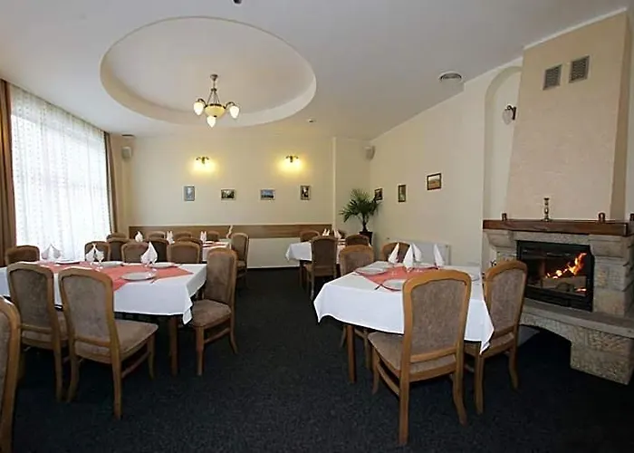 Hotel Paltinis